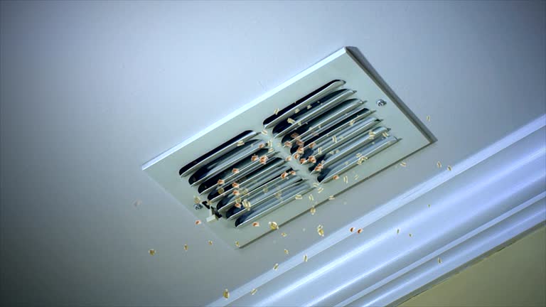 Best Home Air Vent Cleaning  in Taunton, MA